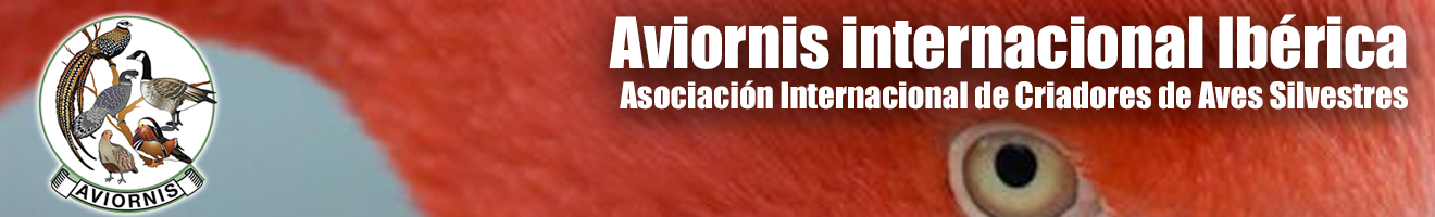 Aviornis Ibérica