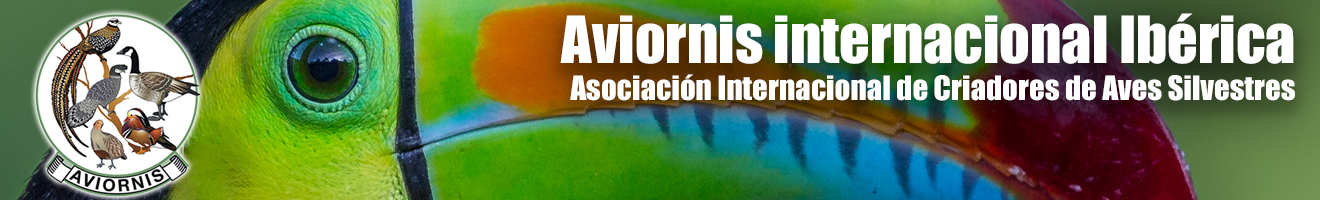 Aviornis Ibérica