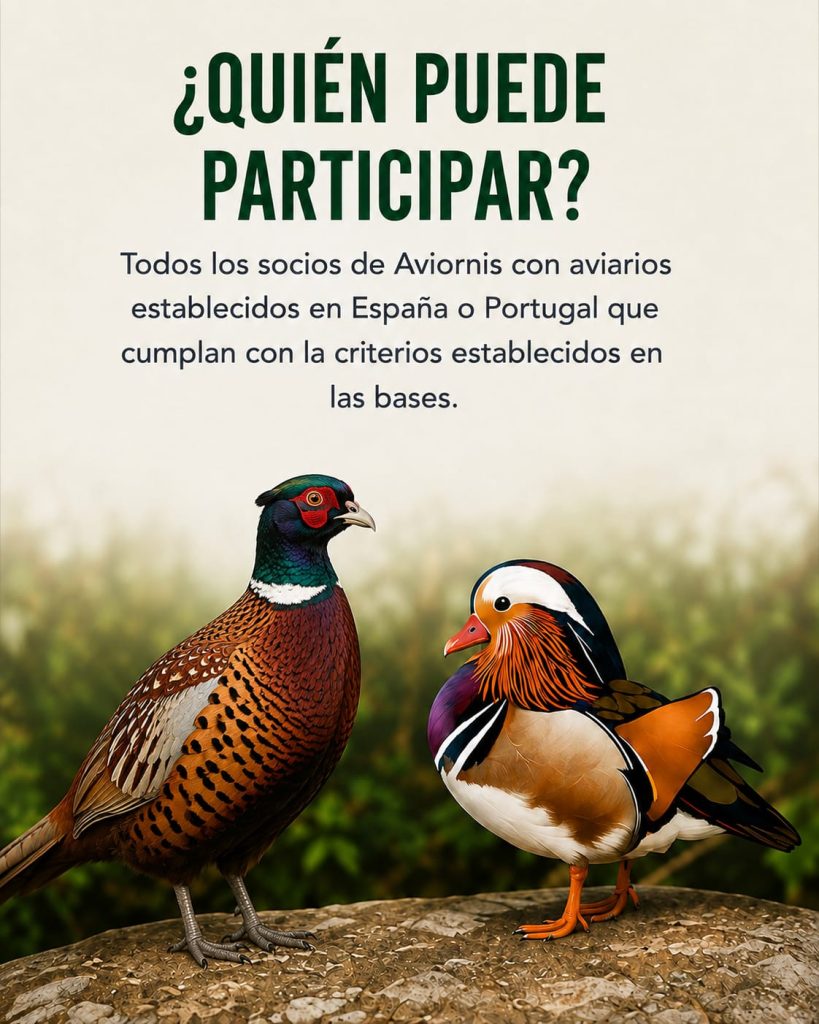Información del reconocimiento 2026