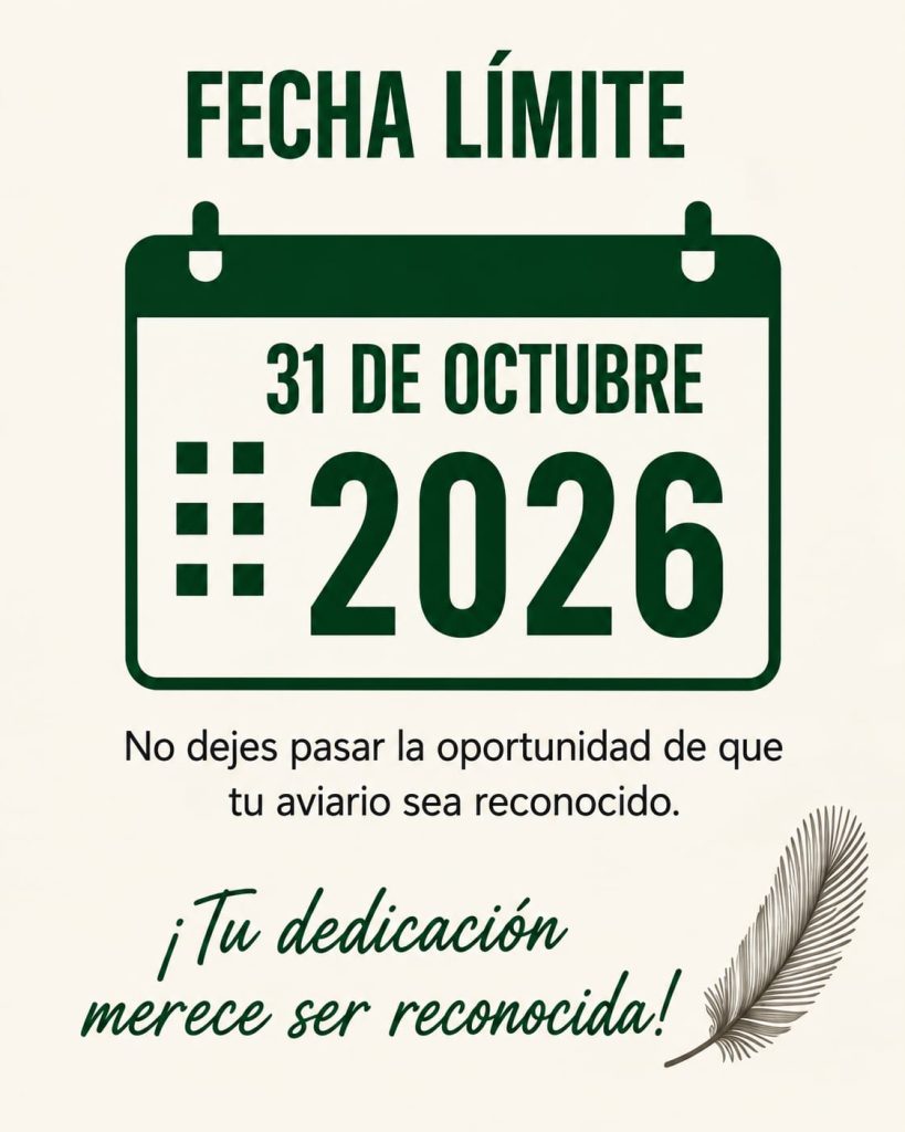 Información del reconocimiento 2026